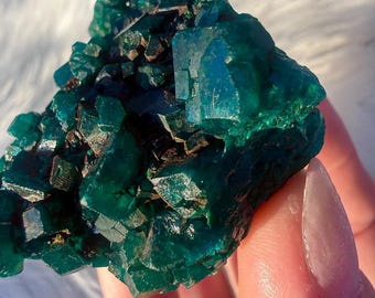 Ejemplar de dioptasa GEMMY de la República Democrática del Congo con cristales GRANDES y hermoso brillo / Grupo de cristales de dioptasa muy llamativos