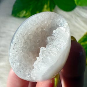 May include: A polished, oval-shaped geode with a smooth, pale gray exterior. The interior reveals a cavity filled with sparkling, white crystal formations. The geode is held in a hand, with green foliage in the background.