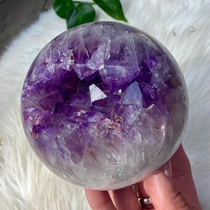 May include: A large, spherical amethyst geode. The crystal ball has a deep purple hue with crystalline formations visible inside. The geode is held in a hand, with a white, fluffy background and green leaves in the upper corner.