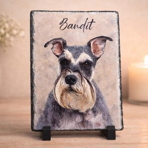 May include: A rectangular slate plaque featuring a painted portrait of a Schnauzer dog with grey and black fur. The name Bandit is printed in black script above the dog. The plaque has a rough, natural stone edge and rests on a black stand.