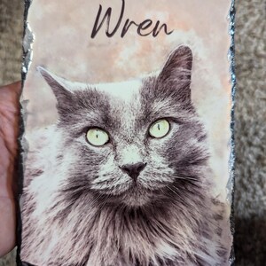 Pet Memorial Stone, Personalized Pet Portrait Slate, Custom Dog Memorial Gift, Cat Memorial Picture, Pet Loss Sympathy Gift, Rainbow Bridge image 11