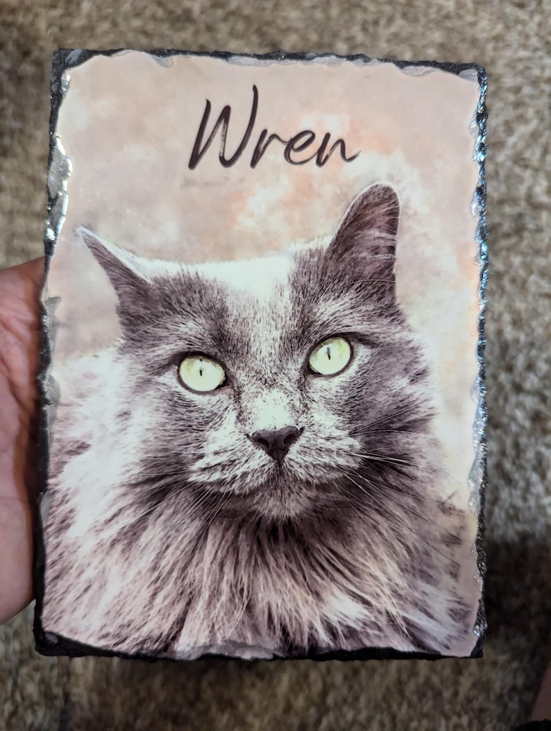 Pet Memorial Stone, Personalized Pet Portrait Slate, Custom Dog Memorial Gift, Cat Memorial Picture, Pet Loss Sympathy Gift, Rainbow Bridge image 11