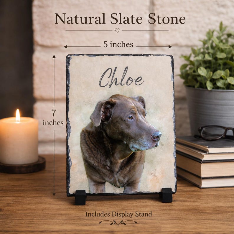 May include: Natural slate stone featuring a brown dog portrait, named Chloe. The stone is 12.7 cm wide and 17.8 cm tall. Includes a display stand. The text "Natural Slate Stone" is at the top.