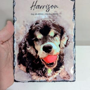 Pet Memorial Stone, Personalized Pet Portrait Slate, Custom Dog Memorial Gift, Cat Memorial Picture, Pet Loss Sympathy Gift, Rainbow Bridge image 8