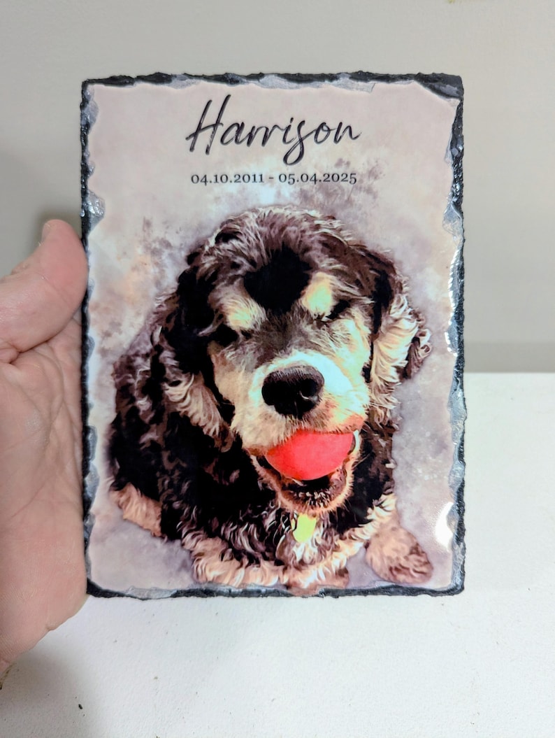 Pet Memorial Stone, Personalized Pet Portrait Slate, Custom Dog Memorial Gift, Cat Memorial Picture, Pet Loss Sympathy Gift, Rainbow Bridge image 8