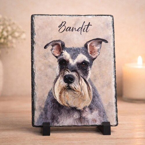 Piedra conmemorativa personalizada para mascotas, retrato fotográfico personalizado en pizarra, regalo de recuerdo para perros o gatos, piedra para jardín.