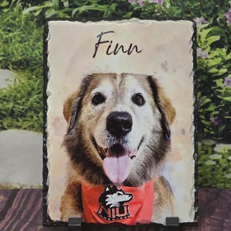 Pet Memorial Stone, Personalized Pet Portrait Slate, Custom Dog Memorial Gift, Cat Memorial Picture, Pet Loss Sympathy Gift, Rainbow Bridge image 3