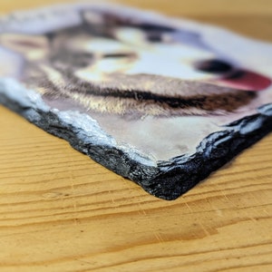 Pet Memorial Stone, Personalized Pet Portrait Slate, Custom Dog Memorial Gift, Cat Memorial Picture, Pet Loss Sympathy Gift, Rainbow Bridge image 6