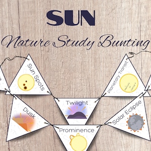 Sun Nature Study Bunting, DIY Sun Banner, School Room Art, Homeschool Printable, Solar