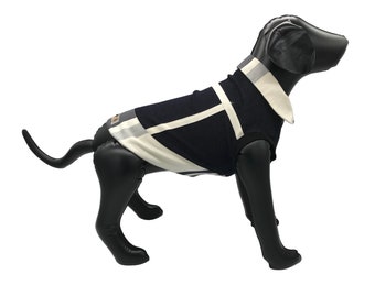 Elegant  Satin Dog Vest