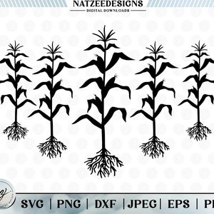 Paquete de tallos de maíz en formato SVG. Archivos de corte para Cricut. Imágenes prediseñadas (eps, svg, pdf, png, dxf, jpeg)