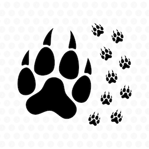 Tiger Paw SVG, Wild Cat Paw PNG, Lion Claw Vector, Cricut Cut-bestand, Paw Print silhouet Eps Bear Clip Art-overzicht, digitale download