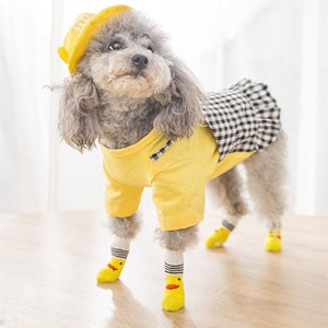 Socks for Cat and Dog socks Hot Surface Protection for your Pet's Feet Anti Slip socks shoes for Cute Doggie's Healthy Paws