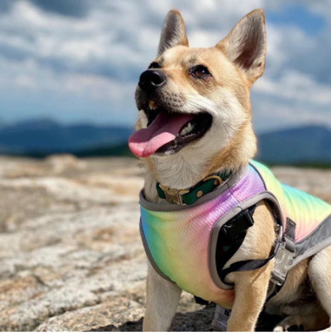 Dog Cooling Jacket Chiller Summer Jacket for Dog Cooling Vest Anti Heat Jacket for Puppy Cool