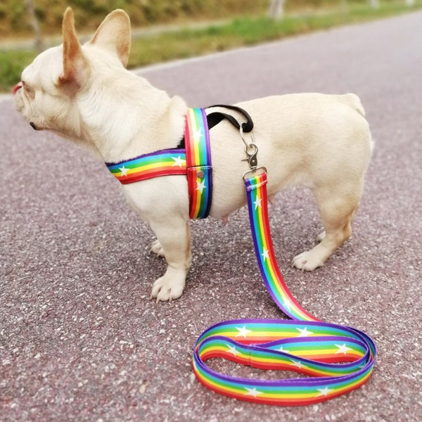 Rainbow Dog Arnés Correa LGBTQ Pride Puppy Bright Fun Colorful Arnés Linda correa de verano para cachorros Accesorio multicolor para mascotas