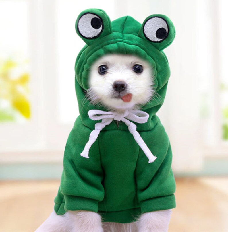 Funny Sweater for Dogs and Cats Frog Hoodie Reindeer Costume Etsy