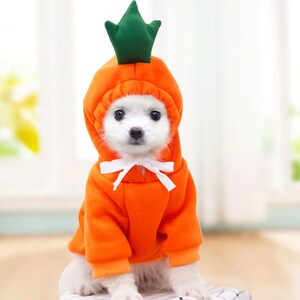 Dog Cat Halloween Costume for Small Dog Funny Sweater Hoodie for Frenchie Clothes for Dog Model Best Gift for Dog Mom Dog Dad Cat Lovers