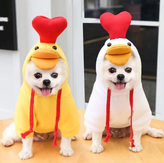 Pet Costume Dog Cat Halloween Costume Funny Pet Costumes - Etsy Pet Costume Dog Cat Halloween Costume Funny Pet Costumes - Etsy