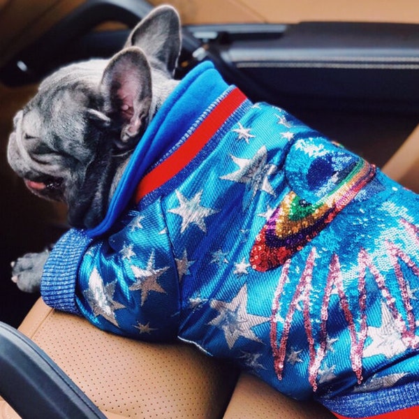 Vêtements mignons pour chien tenue bouledogue français vêtement d'extérieur Frenchie veste pour chien manteau pour chien bouledogue français meilleure tenue chemise pour chien pour animaux de compagnie élégants