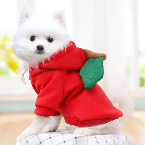  Cute Otter Dog Hoodie Funny Pet Clothes Cute Cat Costume Blue  Puppy Sweatshirt for Small Medium Pet XS : Pet Supplies
