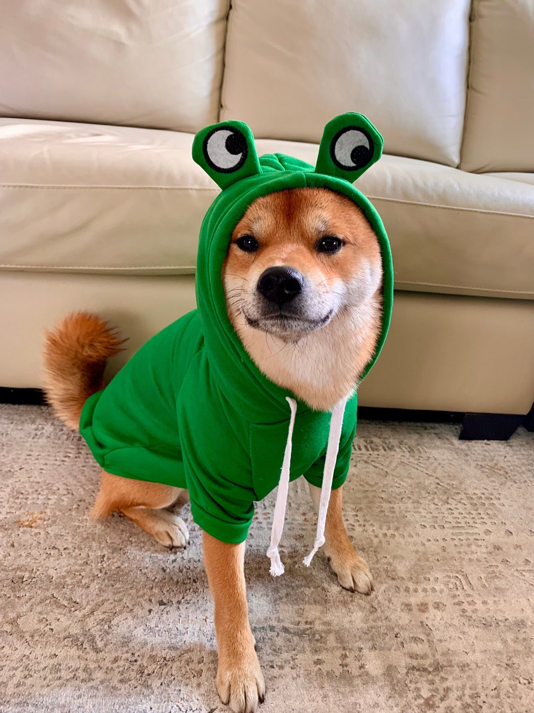 Dog Cat Halloween Frog Costume for Small Dog Funny Sweater for Frenchie