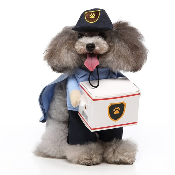 UPS Parcel Delivery Dog Costume – California Costume Collections, Sizes XS-L, Brown