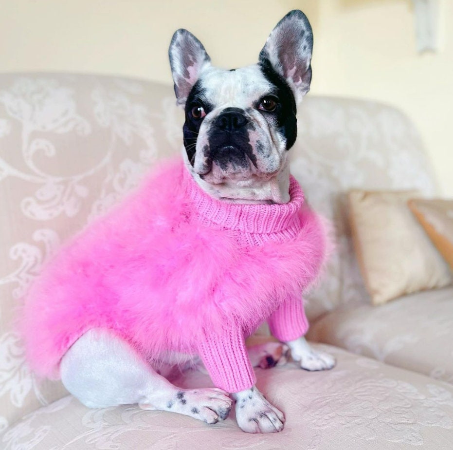 Luxury Dog Apparel for Small Medium Pets Designer Fashion Shirts