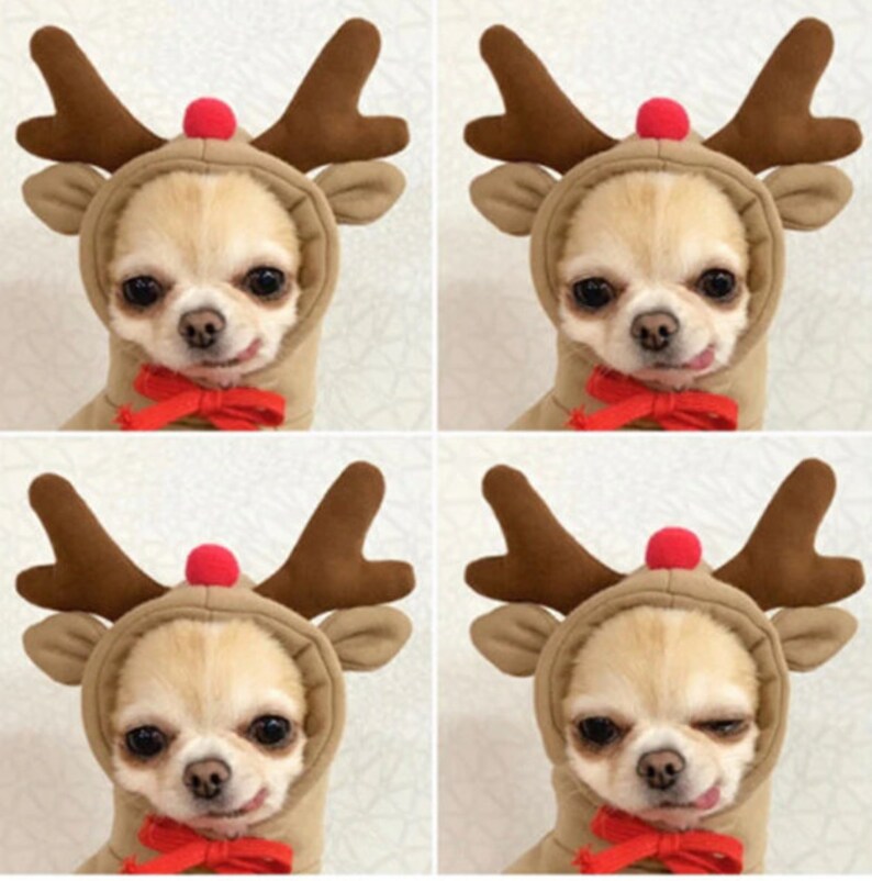 Funny Sweater for Dogs and Cats Frog Hoodie Reindeer Costume Etsy