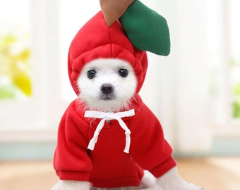 Cute Otter Dog Hoodie Funny Pet Clothes Cute Cat Costume Blue Puppy  Sweatshirt for Small Medium Pet