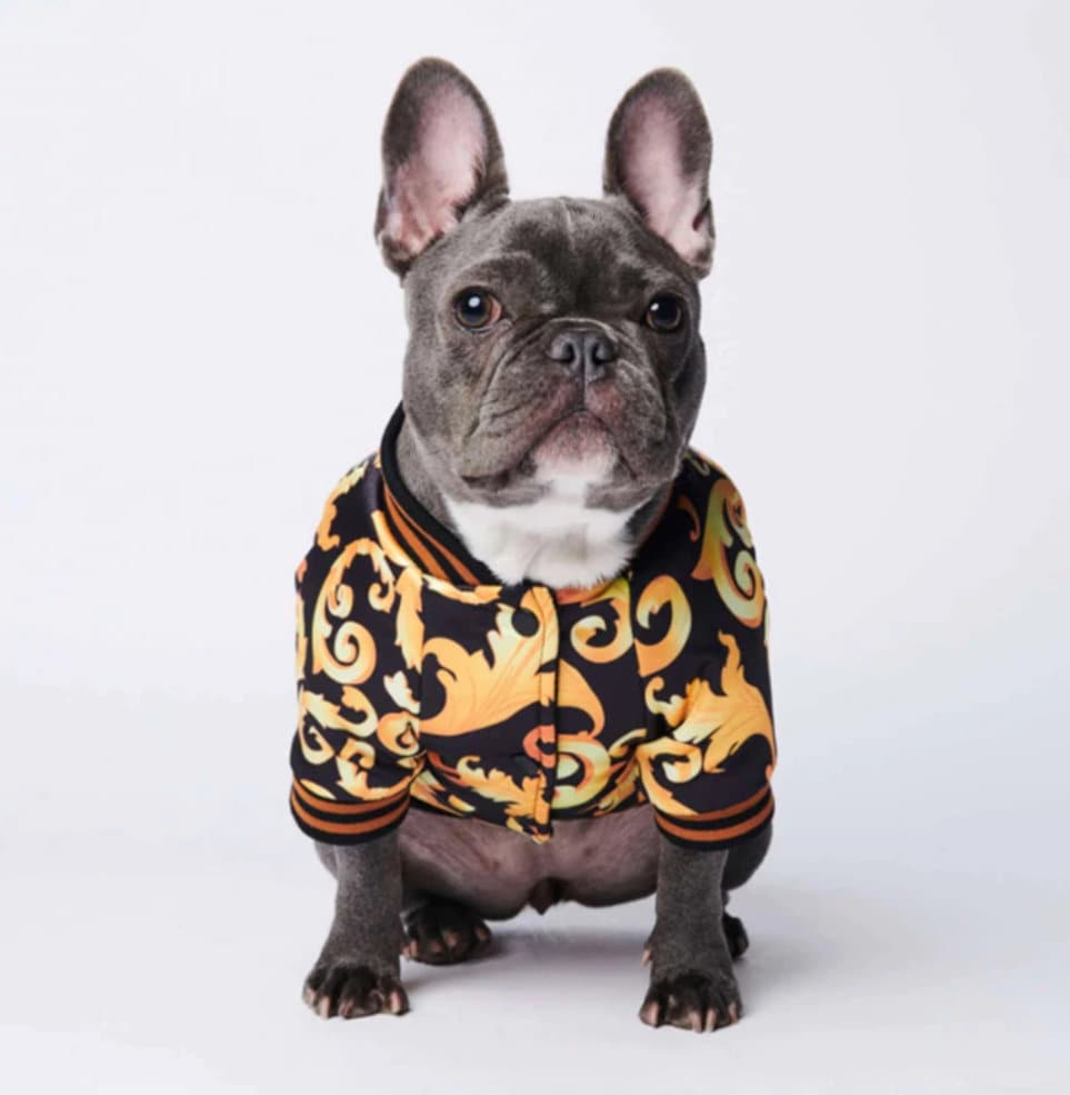 Gucci dog clothes - Etsy Italia