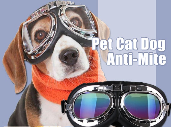 Dog Cat Bike Goggles Motorcycle Dog Googles Dog Sunglasses for Eye