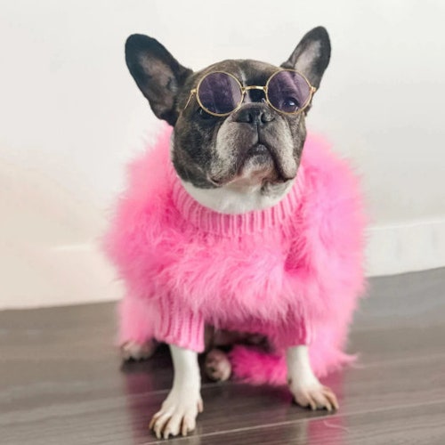 French Bulldog/pug Dog Clothes Pink Blue Dog Sweater Cat Etsy