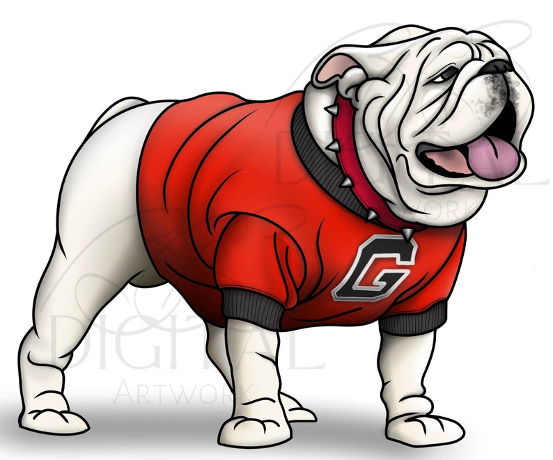 Bulldogs Mascot UGA Version 2 Red Drawing Digital Etsy