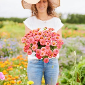 50+ Lilliput Salmon Zinnia Seeds, Heirloom Flower Seeds, Non-GMO
