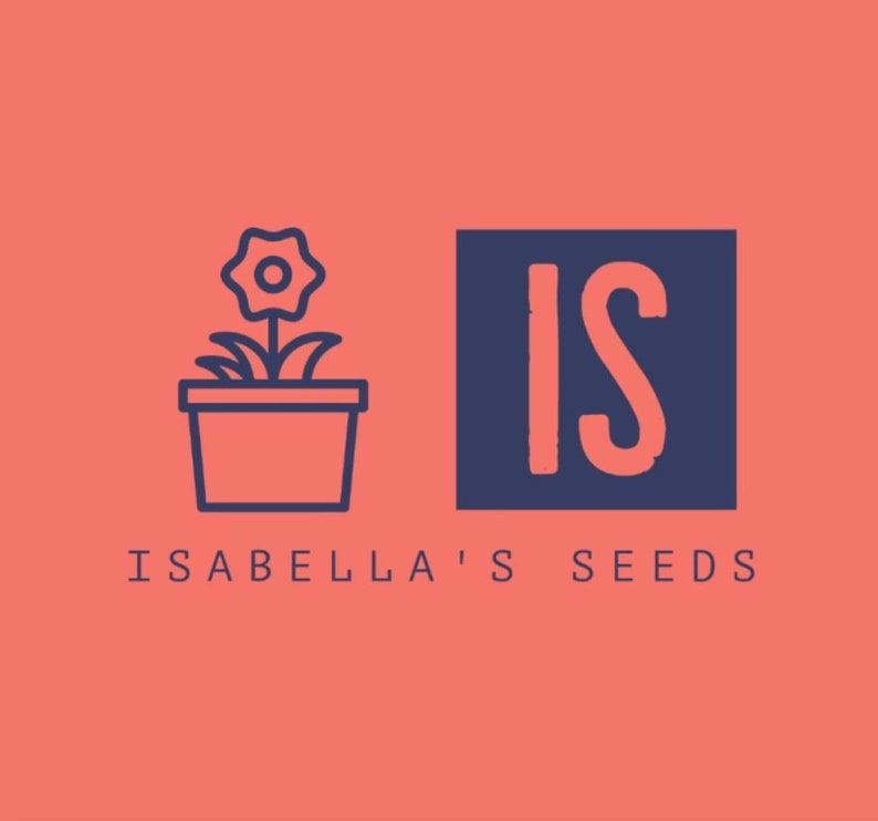 Pu&ograve; includere: Un logo per un'azienda chiamata "Isabella's Seeds" che presenta un contorno blu di una pianta in vaso con un fiore e la parola "IS" in un quadrato blu.