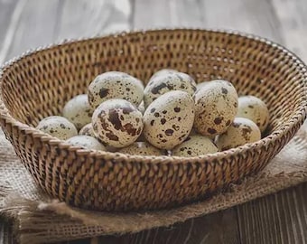 12+ Jumbo Feather Sexable Coturnix Quail Eggs