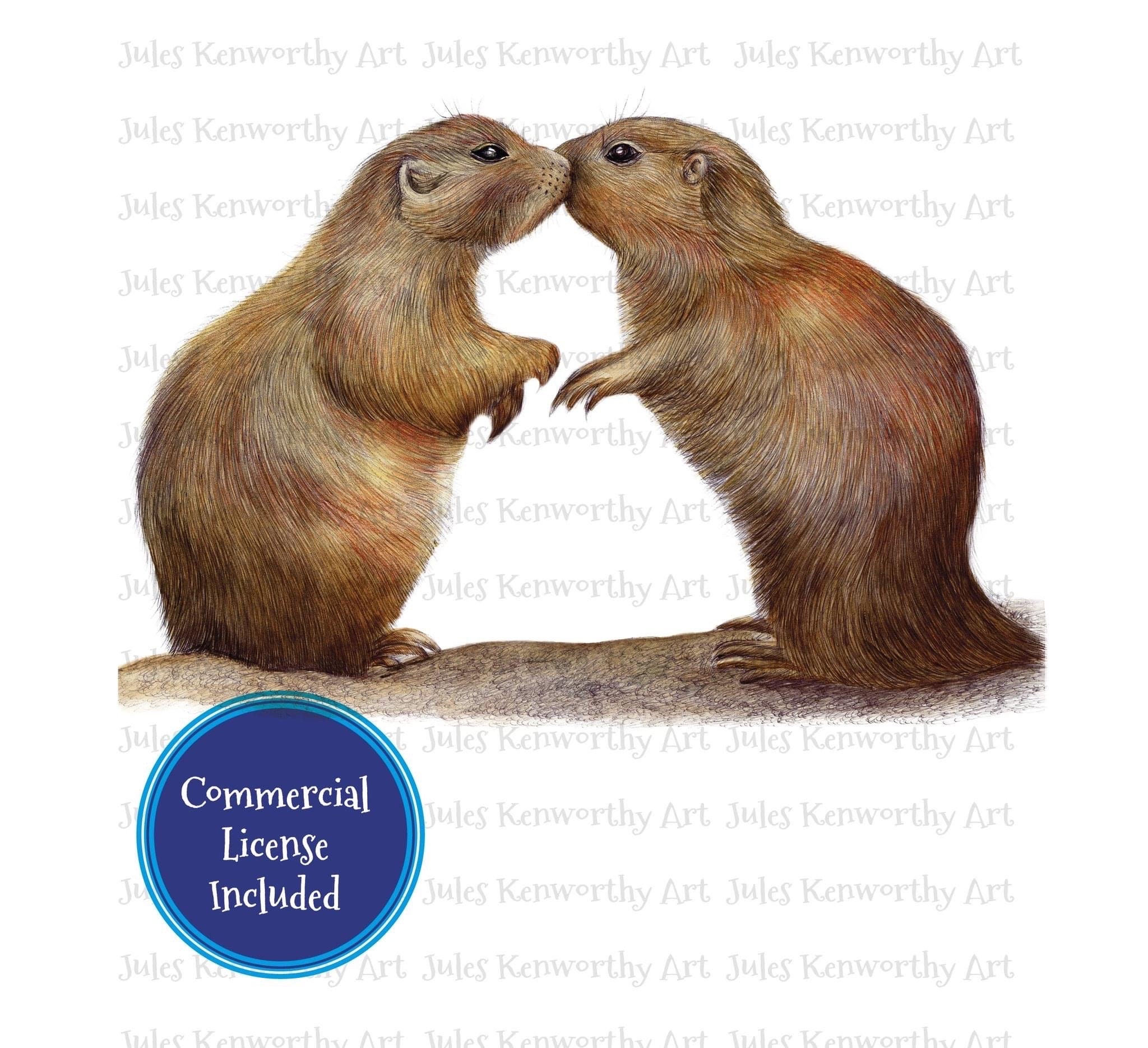 Gopher Vs. Prairie Dog: The Fight For Underground Supremacy! - 6u4wayg