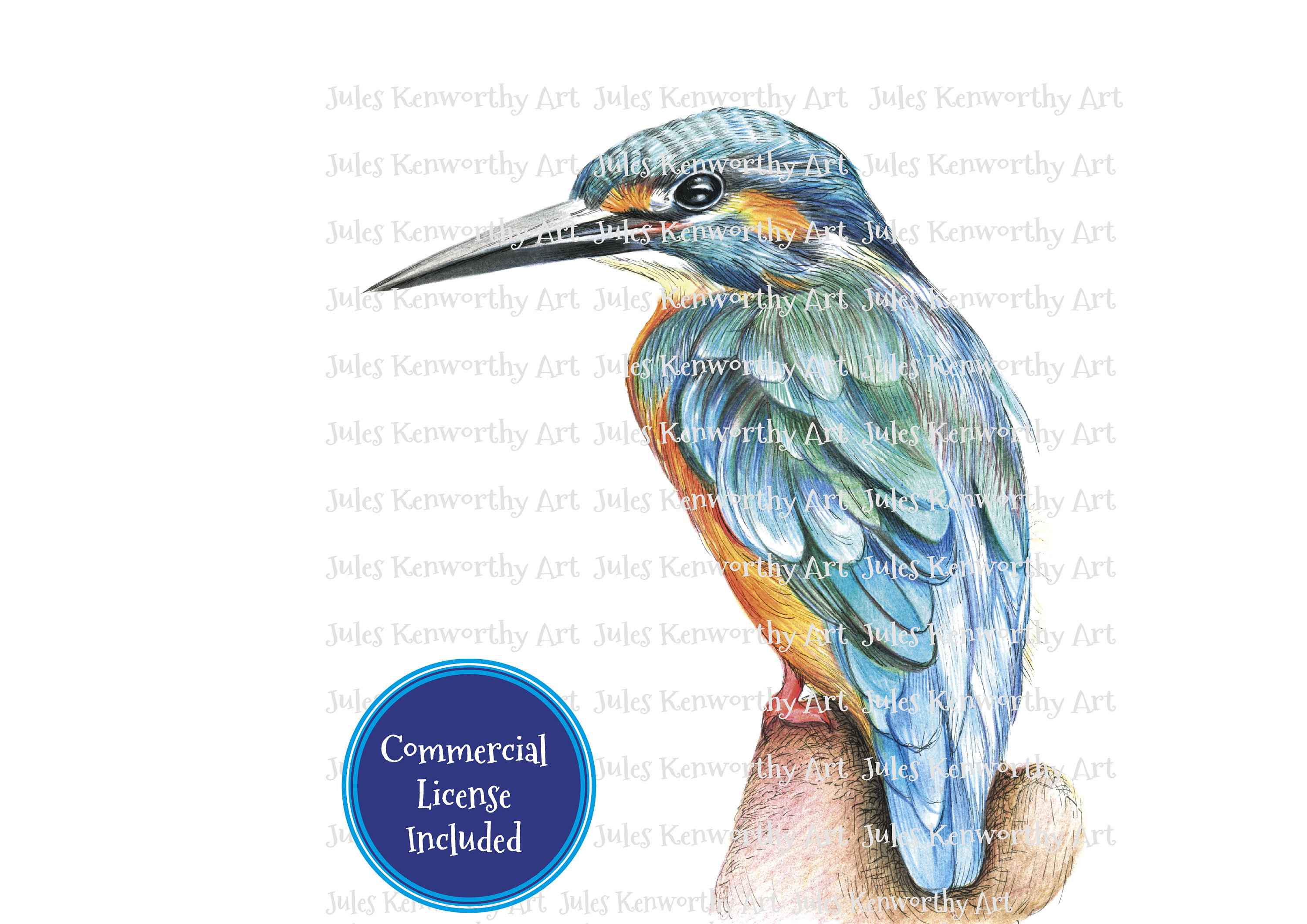 Kingfisher bird — The White Sparrow NC