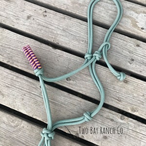 Rope halter, horse halter, halter, horse tack, paracord tack