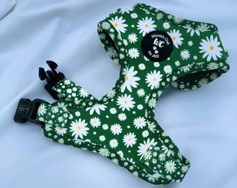 Fiore di margherita verde / Pettorina per cuccioli / Cane / Animale domestico / Gatto / Regolabile / Saldi / Lavabile / XS S M L Giocattolo Piccolo Extra Large / Accessori