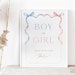 11"x15" Gender Reveal Voting Sign - 'Guess He Or She' Game For Baby Shower, Brown Theme With Easel Stand