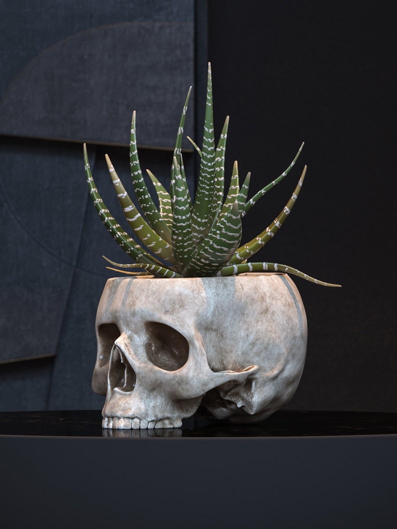 Skullpot Skull Succulent Planter Gothic Home Decor Goth Etsy