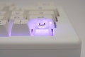 Crystal Blob Artisan Keycap | Custom Keycap for RGB Keyboard product logo