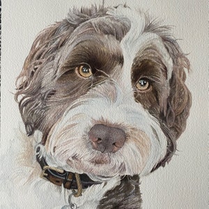 Ritratto di un animale domestico dipinto a mano su commissione, di un gatto, cane, cavallo, coniglio, in acquerello. Regalo di compleanno, commemorativo della perdita di un animale domestico. Può dipingere qualsiasi animale