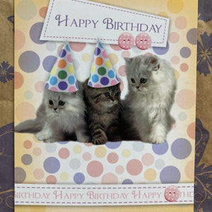 Carte de voeux joyeux anniversaire chat