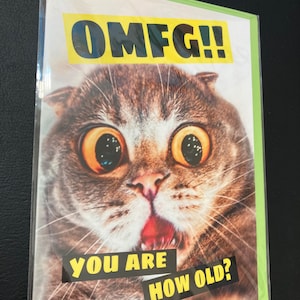 Happy Birthday Funny Cat Greetings Card