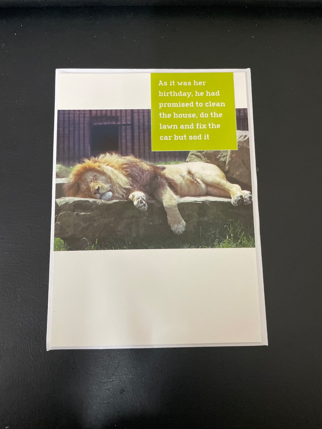 Funny Greeting Cards Printable - Printable And Enjoyable Learning - View #6