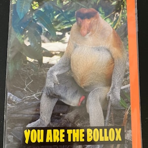 Il tuo biglietto d'auguri divertente Bollox