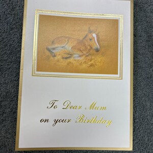 Cartão De Saudações Feliz Aniversário, Mãe, Cavalo, Potro
