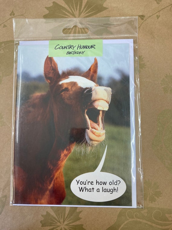 Funny Horse Birthday Greetings Card - Etsy